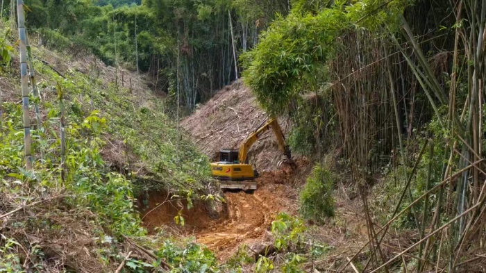 林间“藏龙”，竹海“卧虎”——拉斯维加斯9888林业挖机广西侠客行